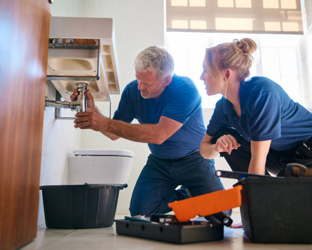 Best Plumbing Services Near Me  in Des Peres, MO